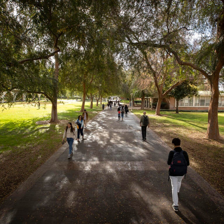 Latest News Articles | UCR News | UC Riverside